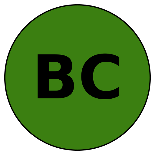BrightCareer